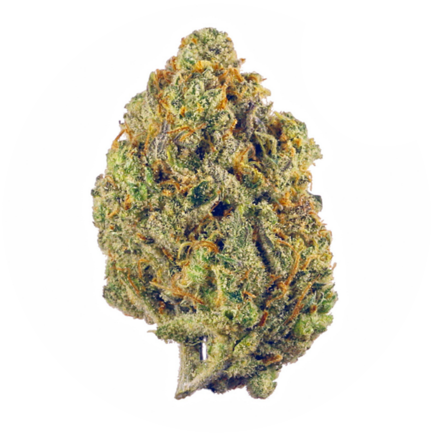Hybrid / Sativa